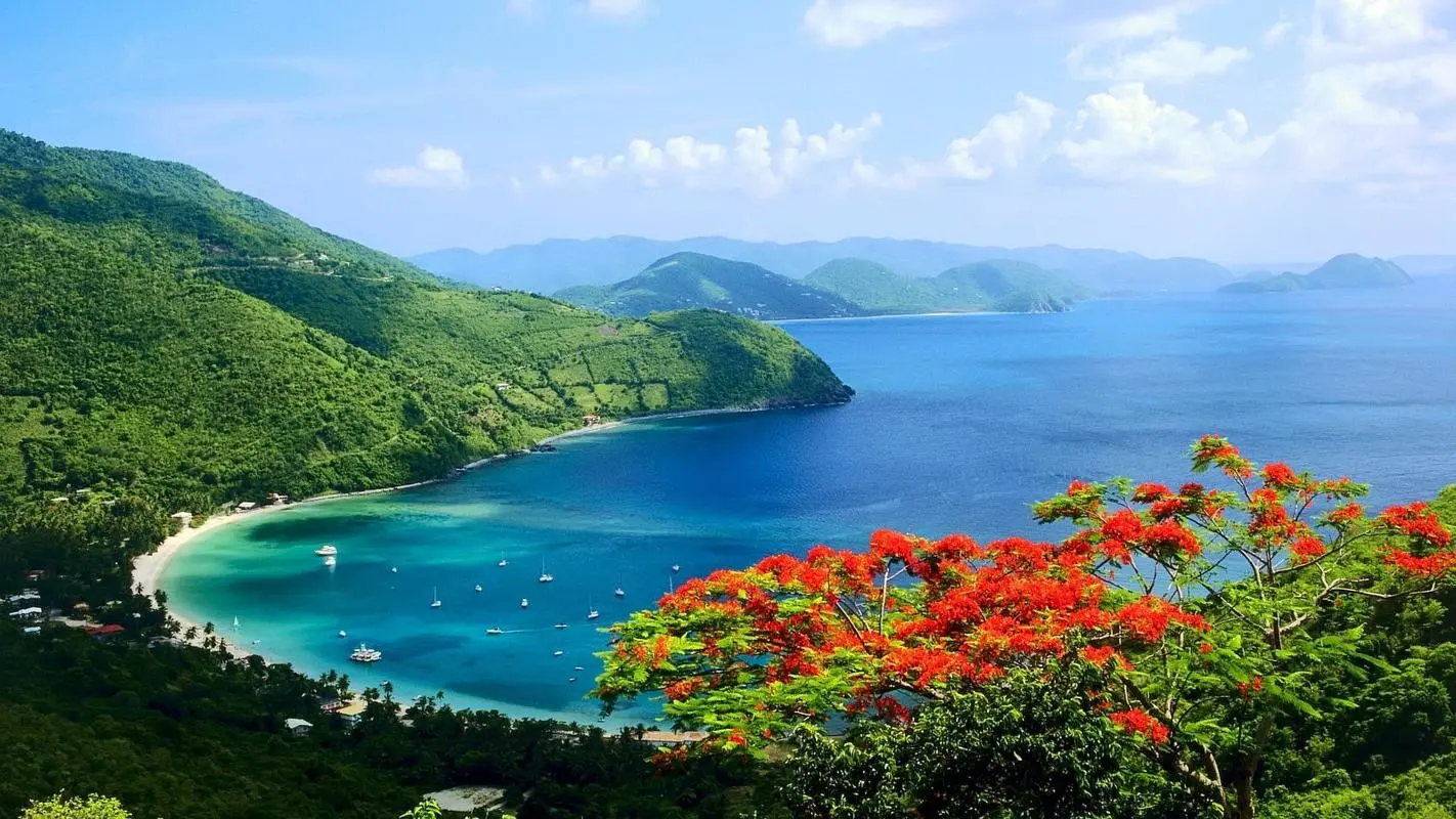 高标准自动化